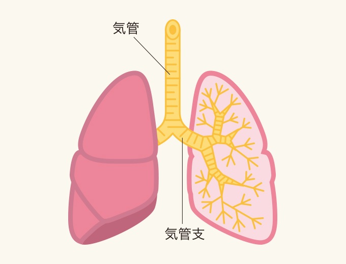 せきとたんが3週間以上続きます。